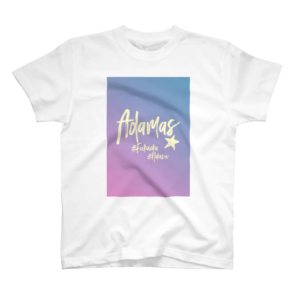 AdamasのAdamasT スタンダードTシャツ