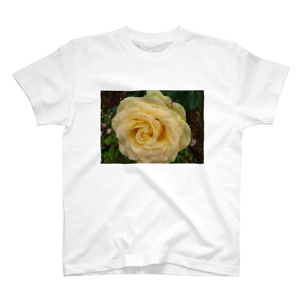 薔薇屋の混ざり薔薇Ⅰ Regular Fit T-Shirt