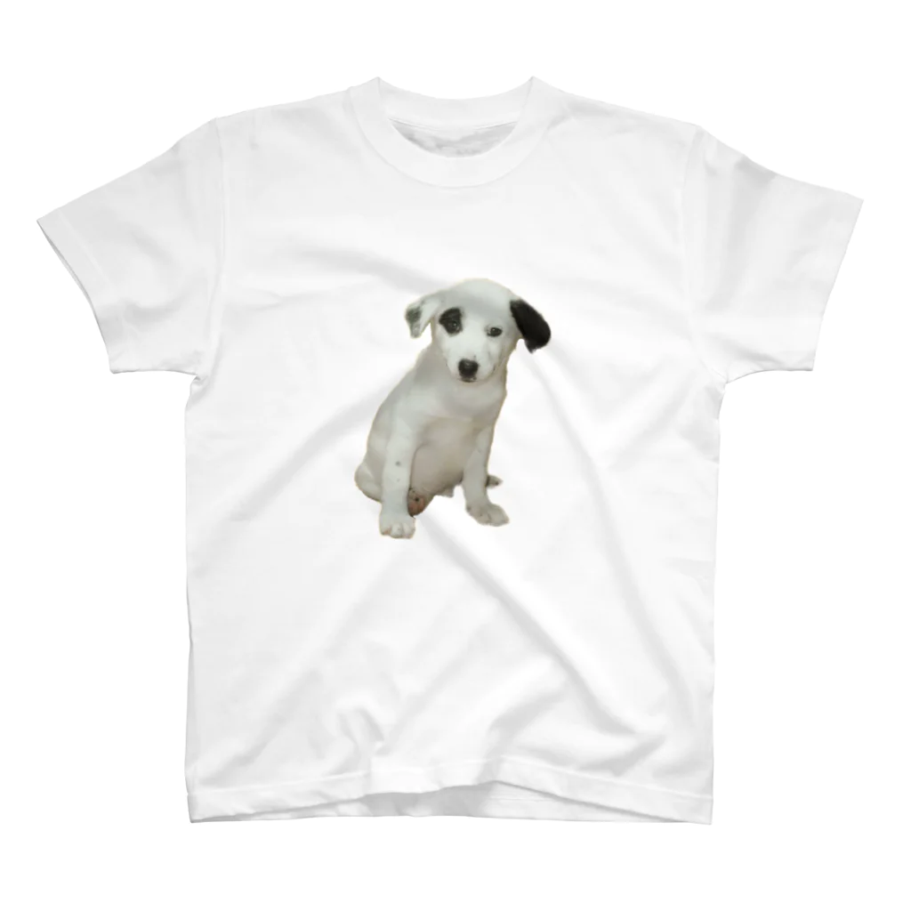 犬の生活が第一の雑種の十兵衛2 スタンダードTシャツ