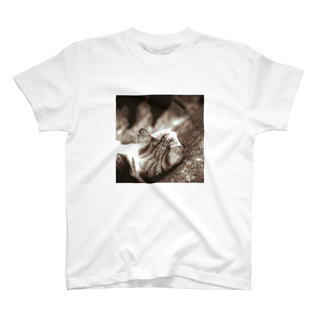 わらしゃんどの野良猫 Regular Fit T-Shirt