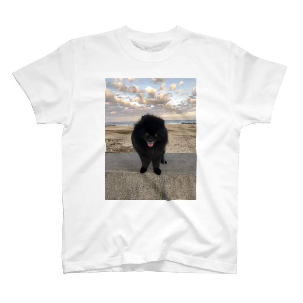 かねこまの空と犬 Regular Fit T-Shirt