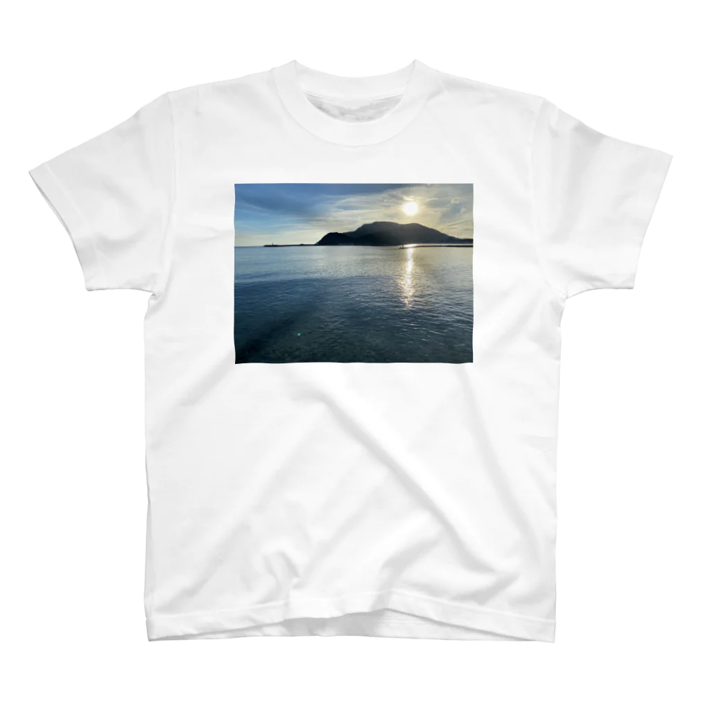 NaOtOの孤島 スタンダードTシャツ