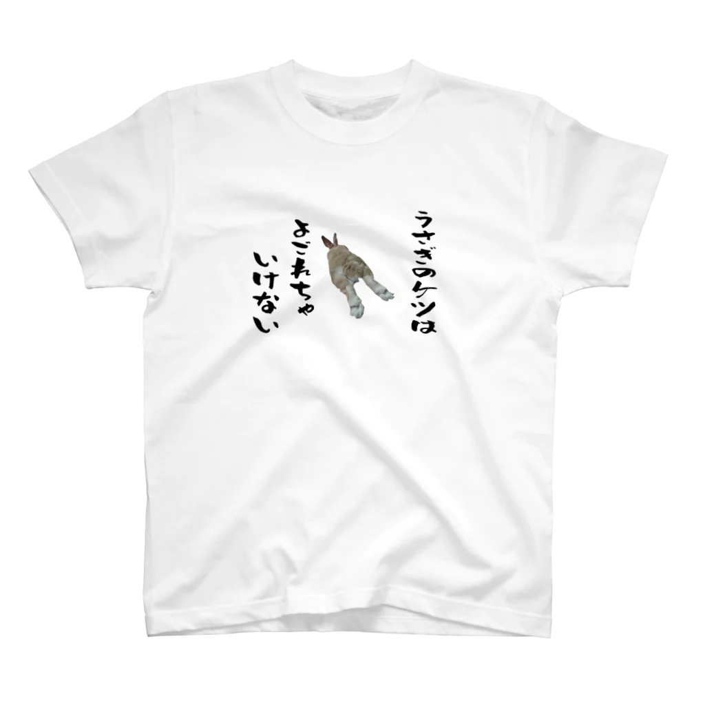 ソイソースのうさケツＴシャツ スタンダードTシャツ