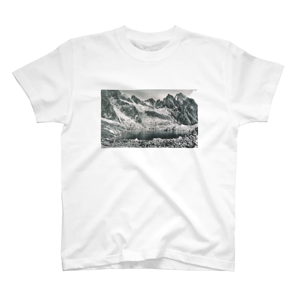 mountain_bookcaseのmountain bookcase  スタンダードTシャツ