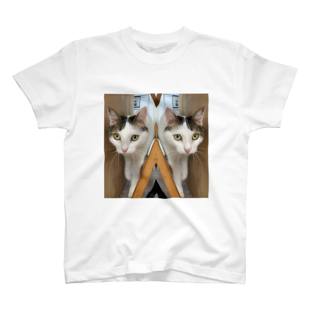 りるの迫り来るねこ スタンダードTシャツ