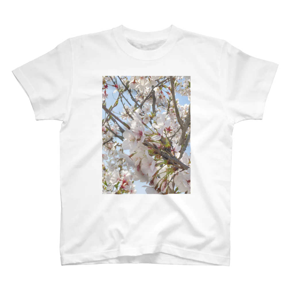 TENTENのSAKURA スタンダードTシャツ