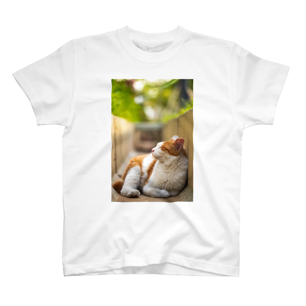 猫写真家「むに」のアトリエののんびりまったり スタンダードTシャツ