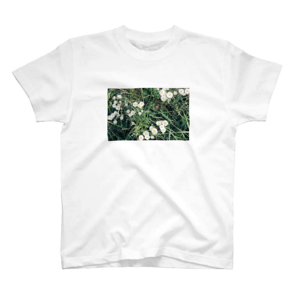 Gute Kleidungのdaisy スタンダードTシャツ