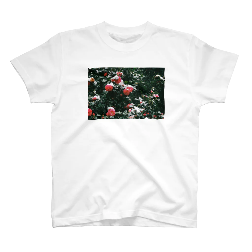 Camera! ファクトリーのCamellia snow factory スタンダードTシャツ