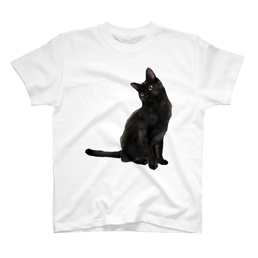 猫とやっし～ぃのアレコレのん？黒猫ですが何か？ Regular Fit T-Shirt