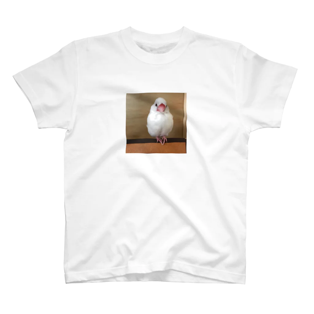 白文鳥のおもちさんの白文鳥のおもちさん スタンダードTシャツ