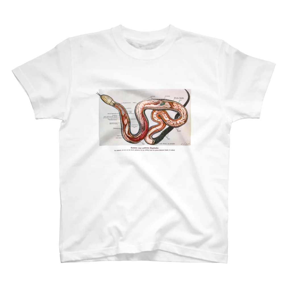 Rubbishのヘビの解剖 Regular Fit T-Shirt