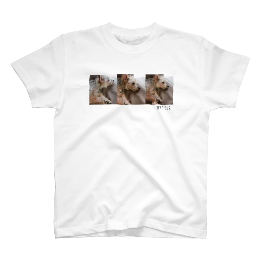 cocoam.dogの日曜の犬 スタンダードTシャツ