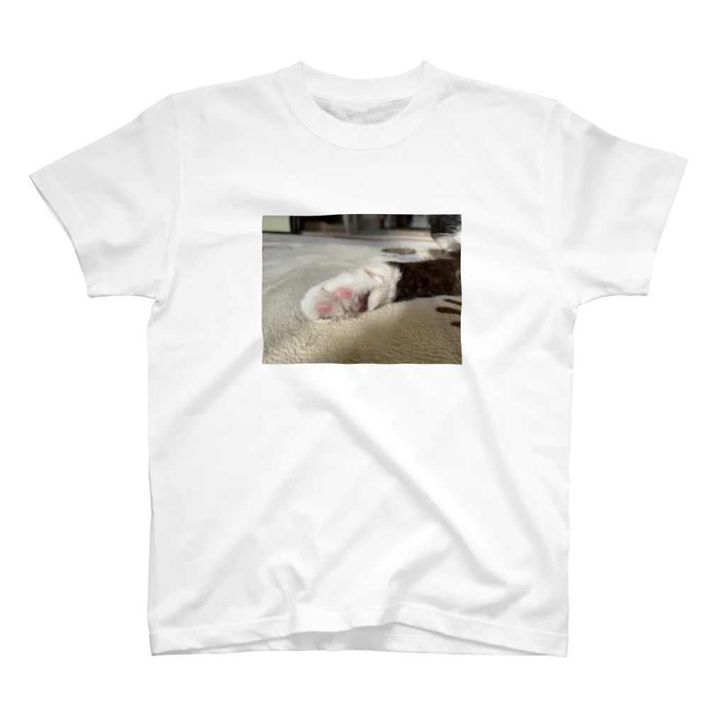 昼寝猫🐈‍⬛のモチモチの肉球 スタンダードTシャツ