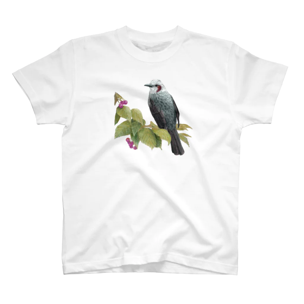 野鳥生活のヒヨドリとさくらんぼ スタンダードTシャツ