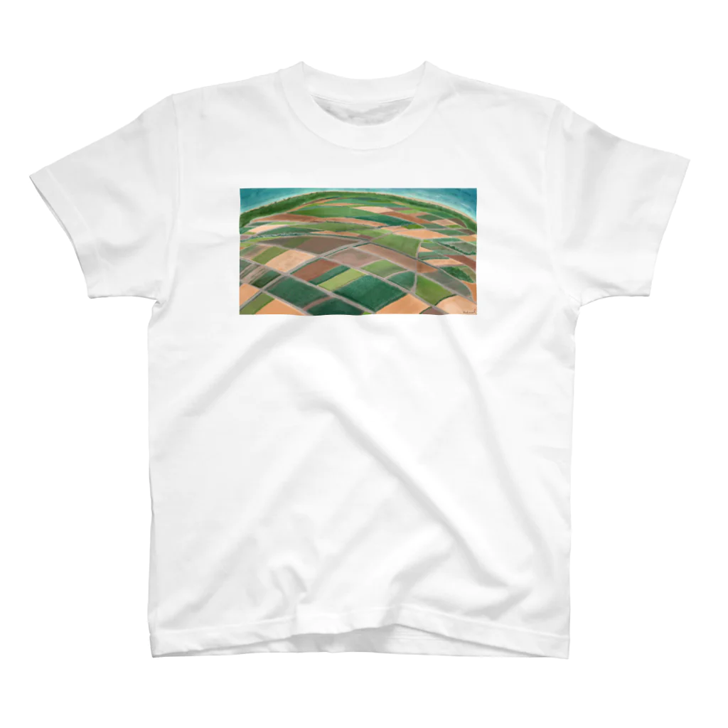 ガジュマルの箱のサトウキビ畑•沖縄（Sugarcane fields In Okinawa） スタンダードTシャツ