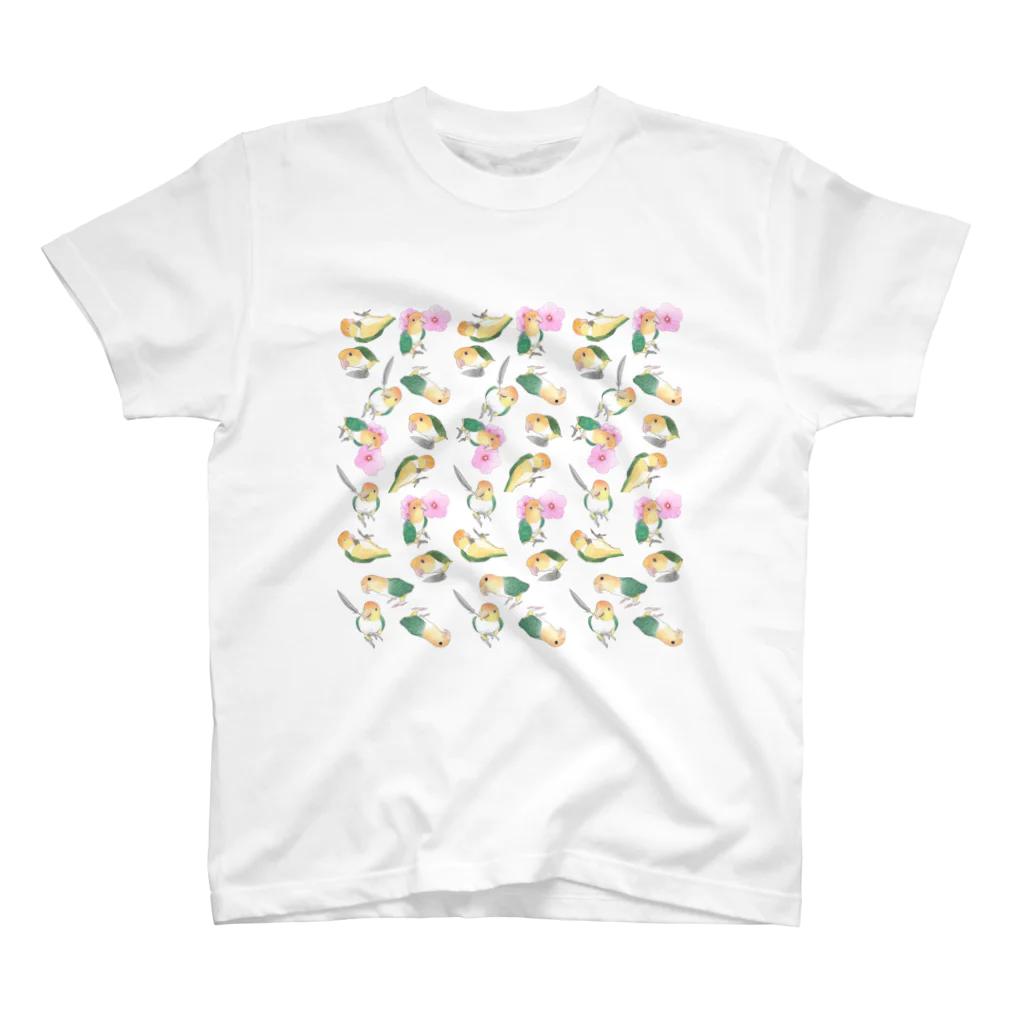 まめるりはことりのたっぷりシロハラインコちゃん【まめるりはことり】 スタンダードTシャツ