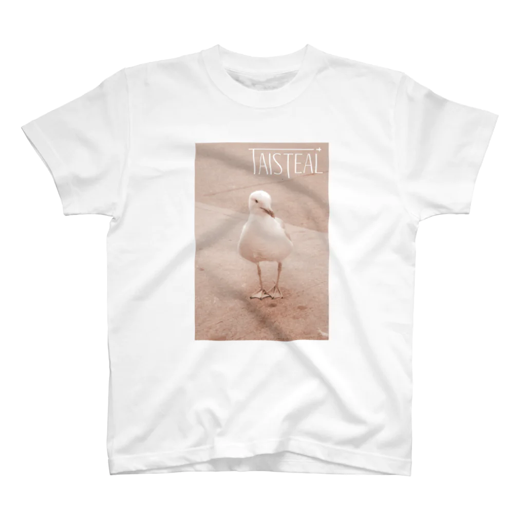 フォーヴァの鳥1－taisteal－タシテル－ スタンダードTシャツ