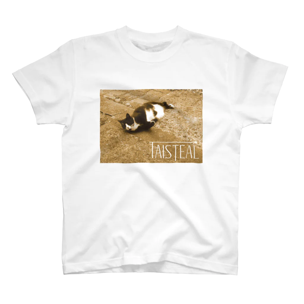 フォーヴァの猫1－taisteal－タシテル－ スタンダードTシャツ