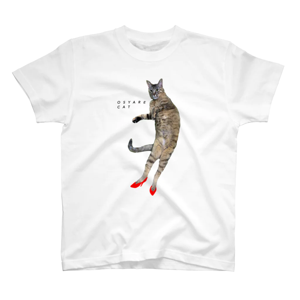 メグミックスのおしゃれキャット　フロントプリントT Regular Fit T-Shirt