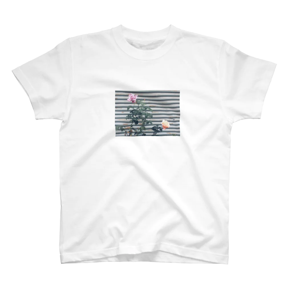 MKNの薔薇とシャッター スタンダードTシャツ