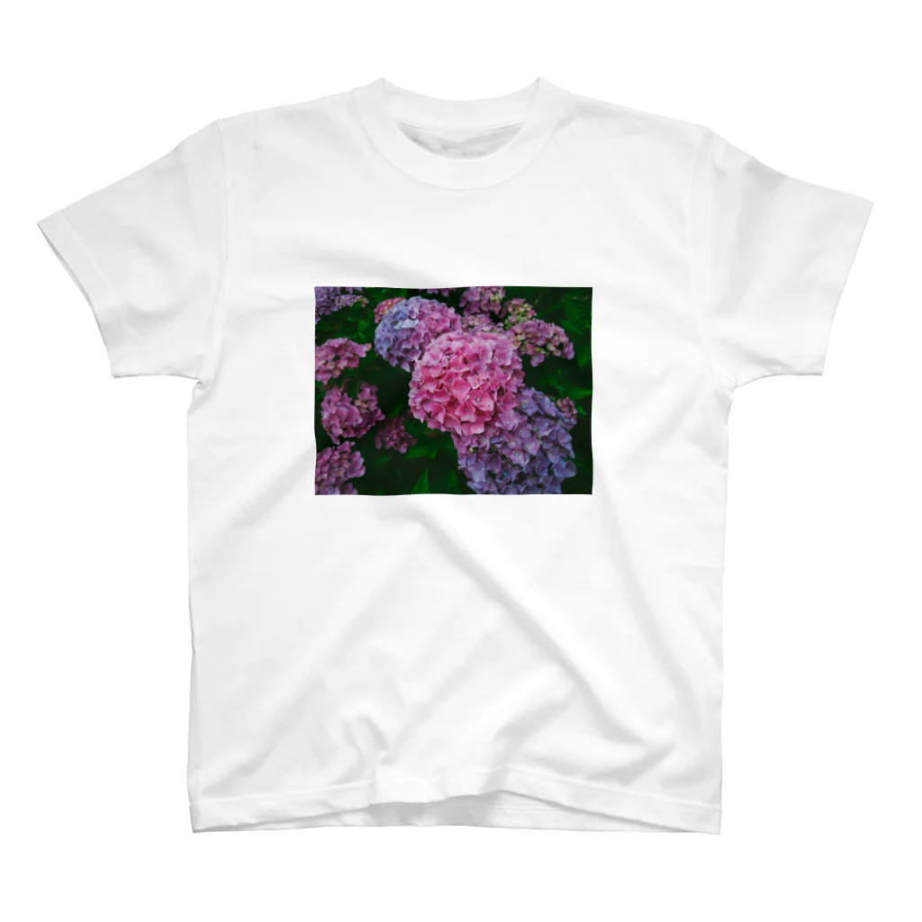 日常の一コマの紫陽花 Regular Fit T-Shirt