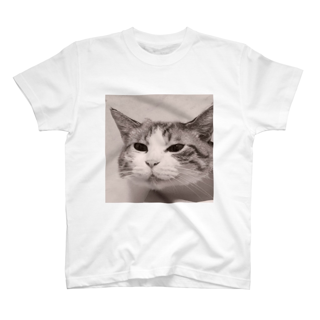 ジョリーマンダリンのSneezing cat T-Shirt