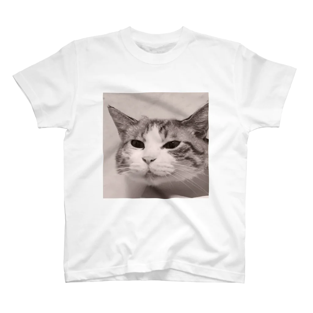 ジョリーマンダリンのSneezing cat スタンダードTシャツ