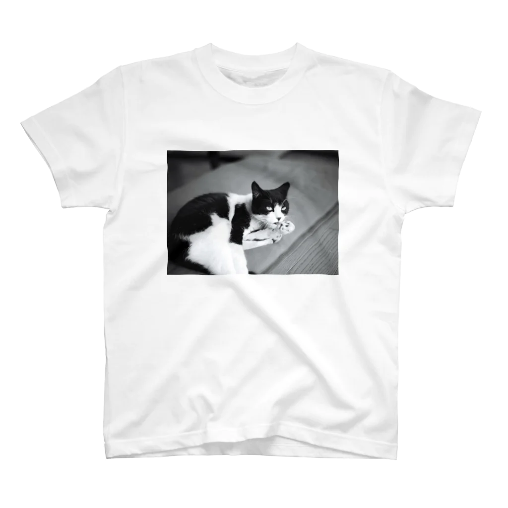 shop BBTHRの猫CAT Regular Fit T-Shirt