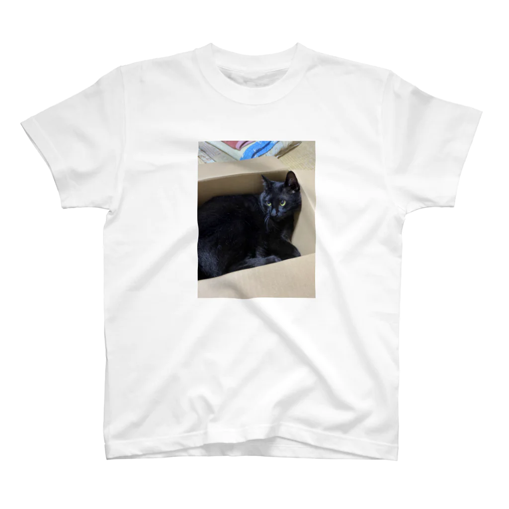 黒猫のひめちゃんの我が家のアイドルひめ スタンダードTシャツ