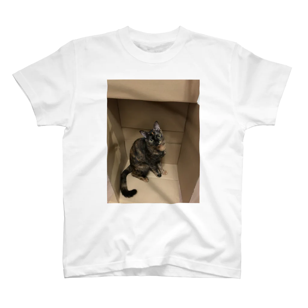 minequitaのサビ猫タビ スタンダードTシャツ