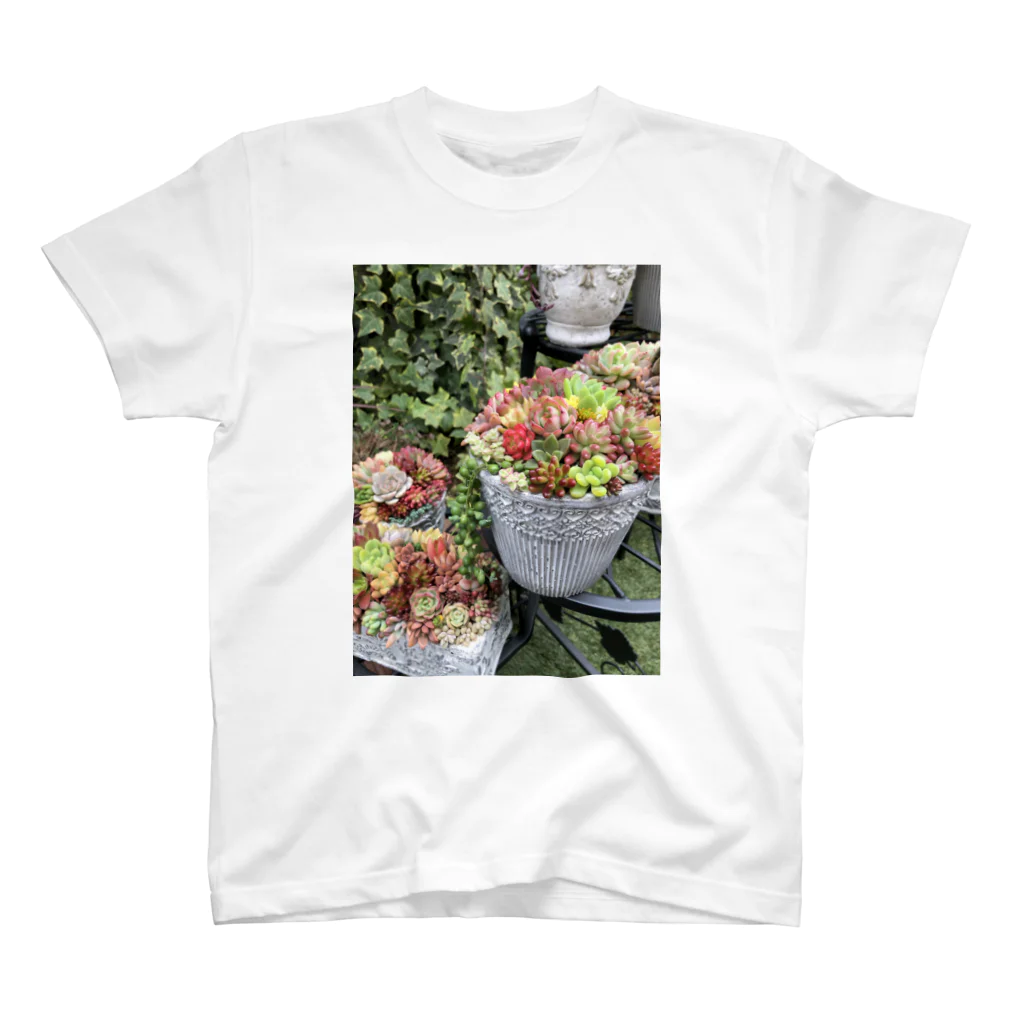 cocoagardenの多肉植物　寄せ植え Regular Fit T-Shirt