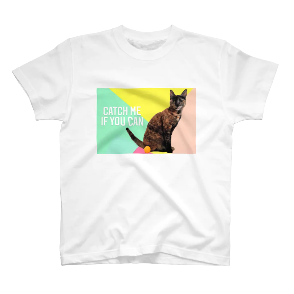 サビ猫あんずのサビ猫あんず catch me if you can  Regular Fit T-Shirt