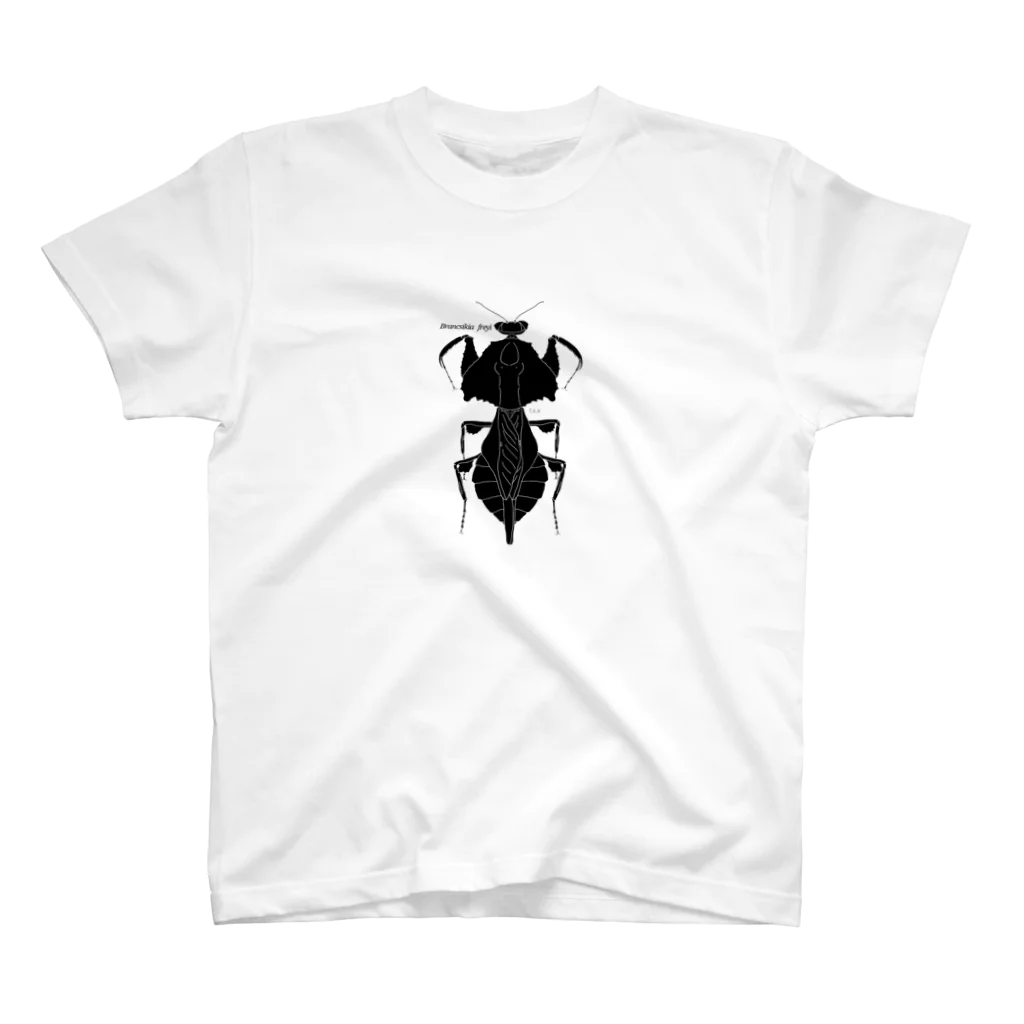 T.K.Nのカマキリ(Brancsikia freyi)のプリントTシャツ スタンダードTシャツ