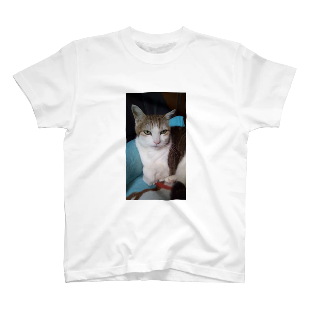 身代わりNOの愛猫 スタンダードTシャツ