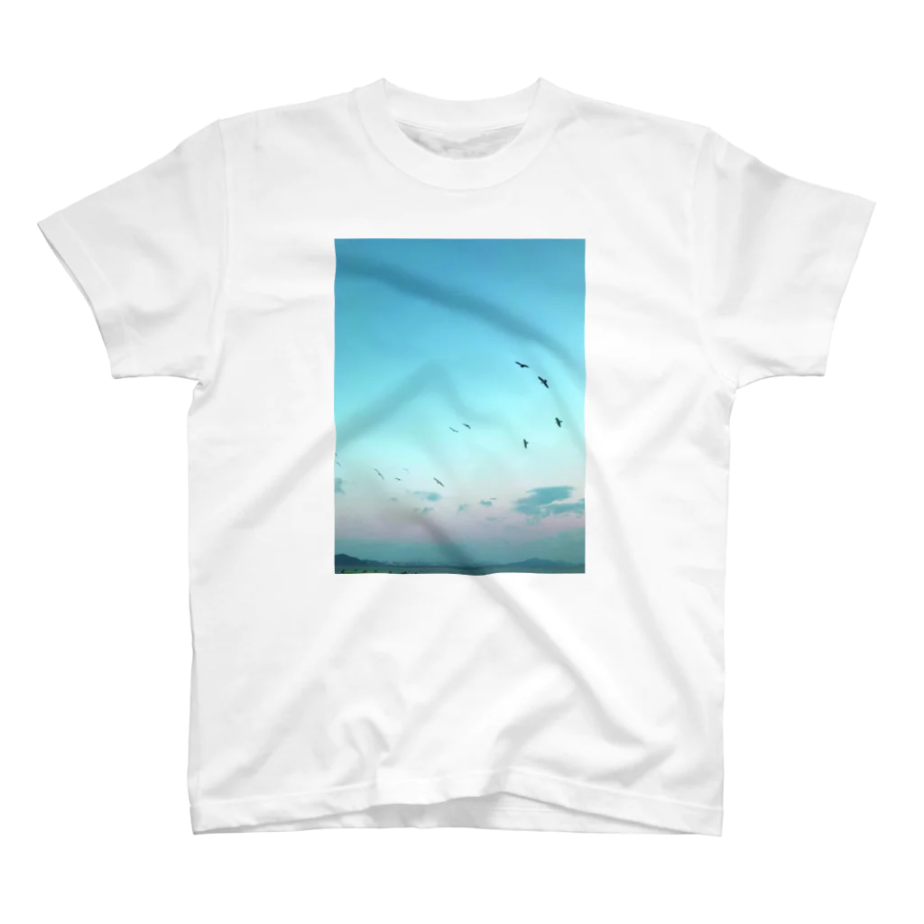 _ashita_の広島の海辺の鳥たち Regular Fit T-Shirt
