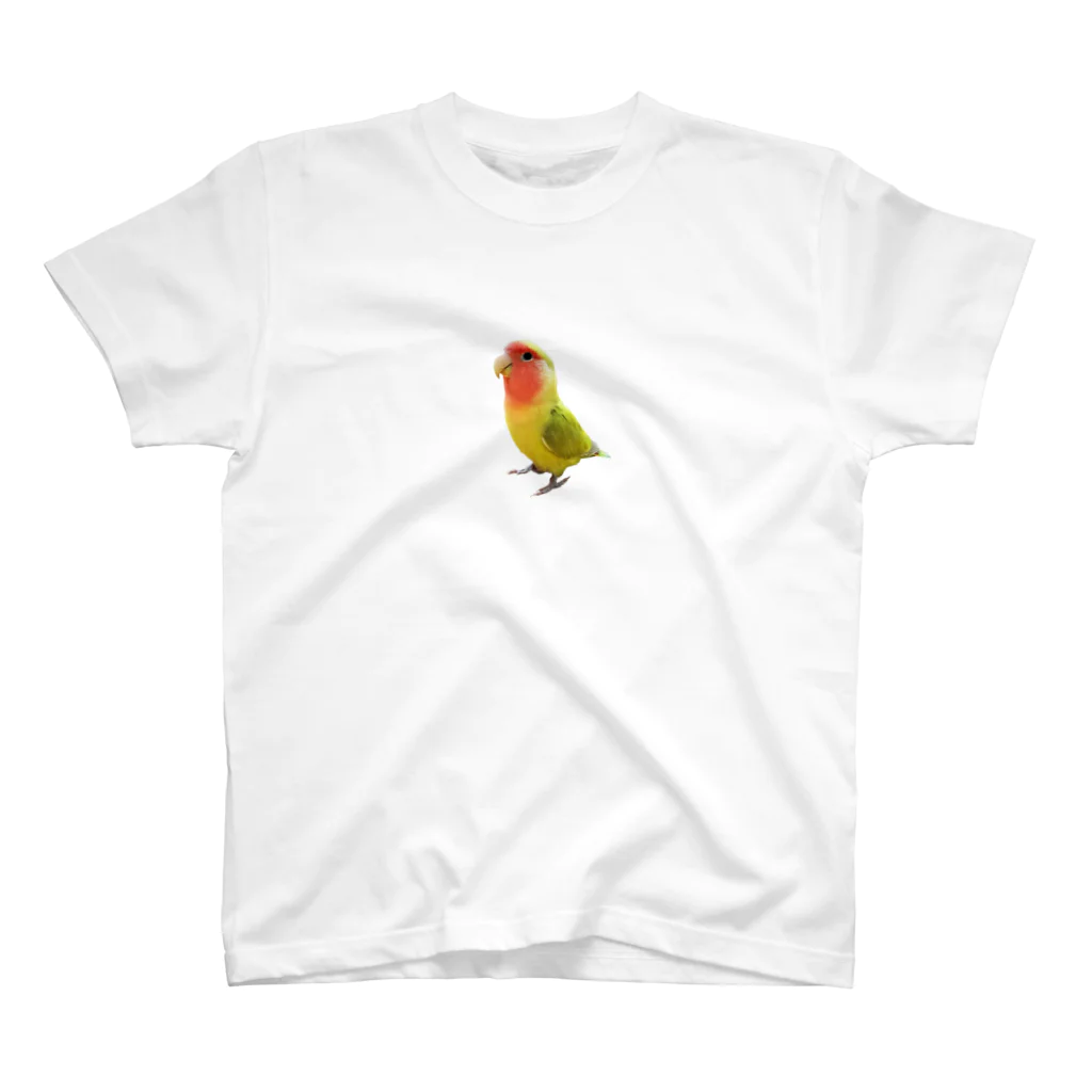 ことりのいえのコザクラインコ スタンダードTシャツ