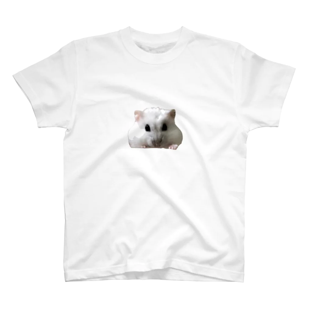 Ｇ７＋ショップ　うさぴー。支店のパールちゃんTシャツ スタンダードTシャツ