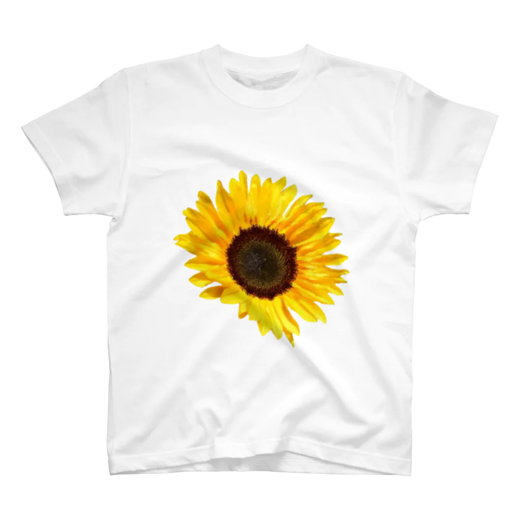 またたび工房の太陽の花 Regular Fit T-Shirt