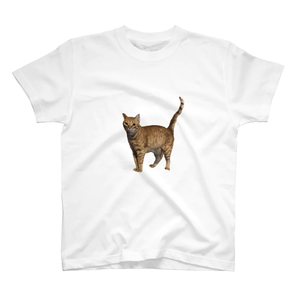 ナカムラショップのひとんちの猫Tシャツ（正面） Regular Fit T-Shirt