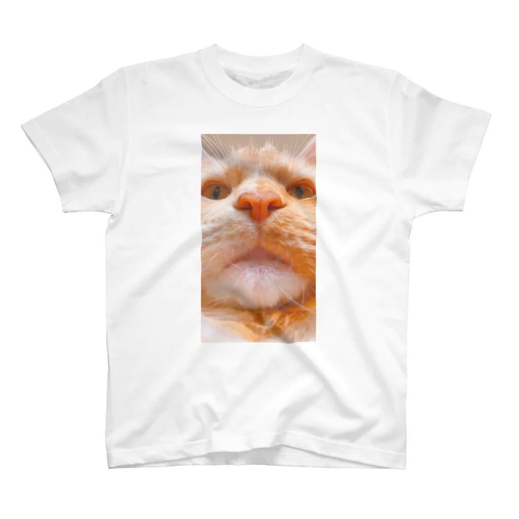 うぶミント＆プシュケの ネコが見つめるＴ Regular Fit T-Shirt