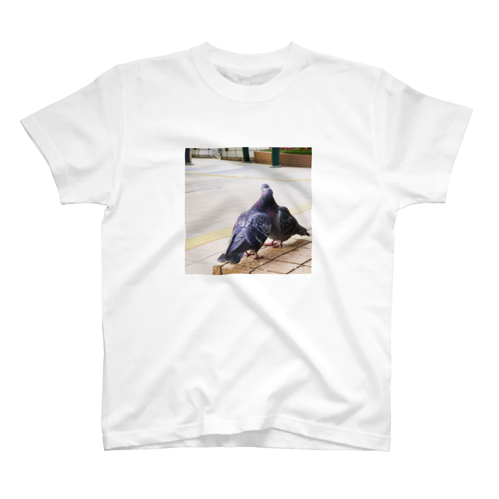 hatopigeonpiccioneの2  pigeons, in winter. Regular Fit T-Shirt