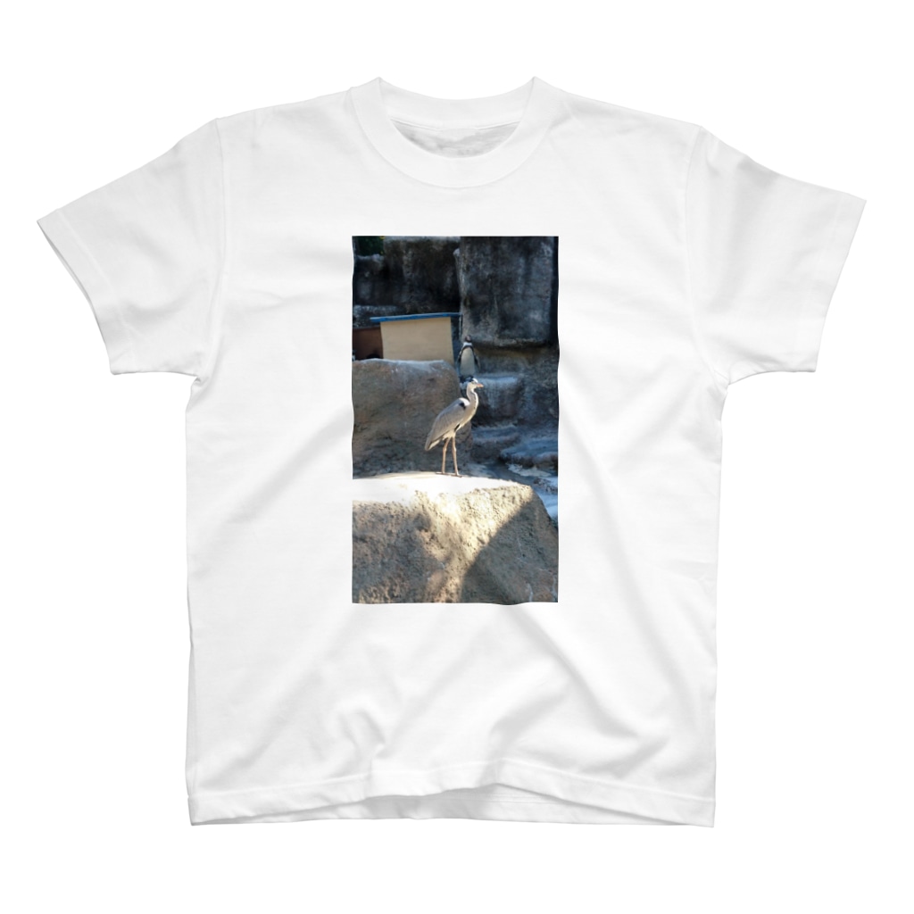 かなごろうの鳥(ペンギン含む) T-Shirt