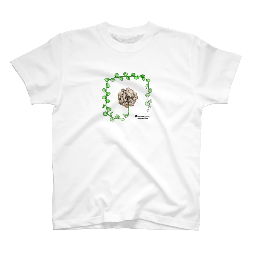 DOTEKKOのT-29 Dioscorea elephantipes Regular Fit T-Shirt