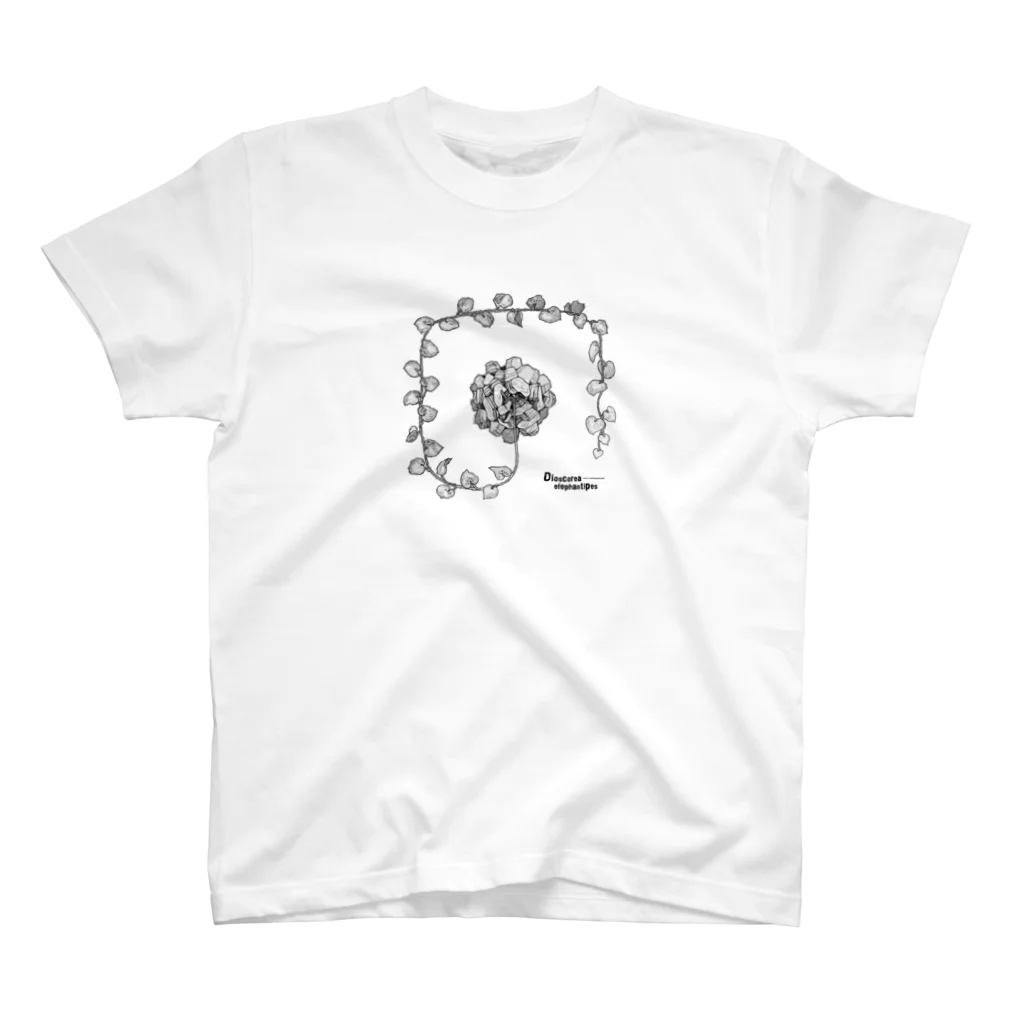 DOTEKKOのT-29 Dioscorea elephantipes G Regular Fit T-Shirt