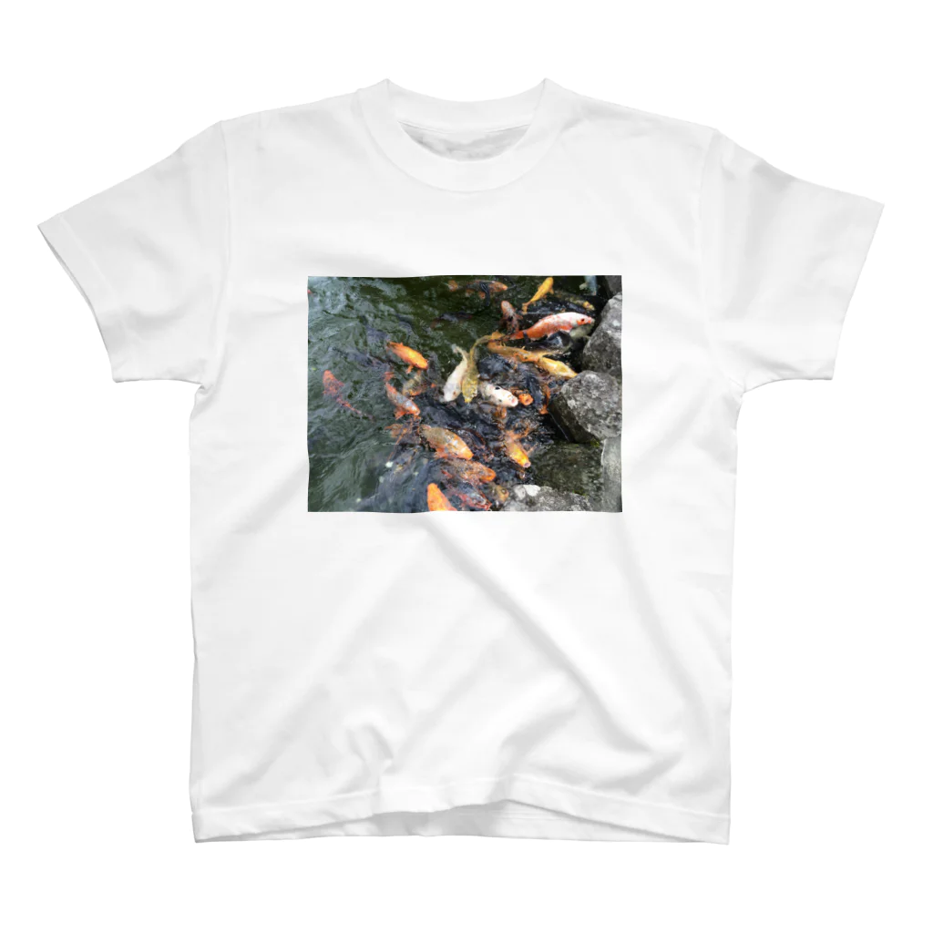 栗尾根の鯉の大群 スタンダードTシャツ