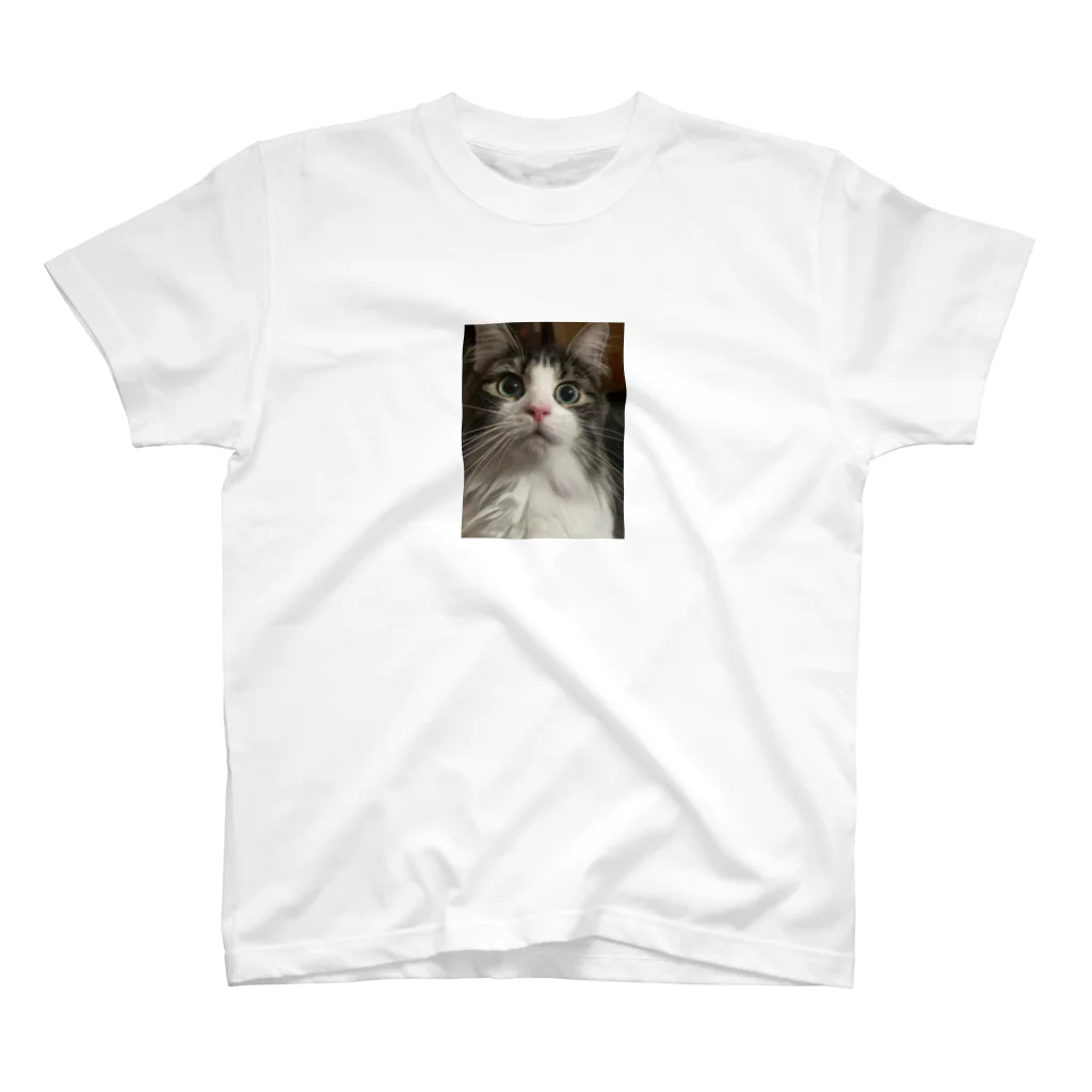 ねこねこねこのおどろきねこ スタンダードTシャツ