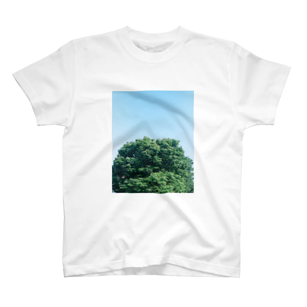 kota nakagawaのtree on film #1 Regular Fit T-Shirt