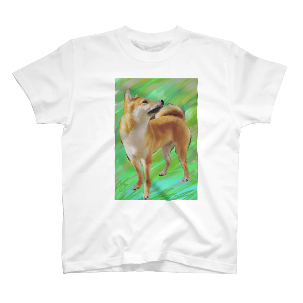 柴犬non-foxの草原の豆柴 スタンダードTシャツ