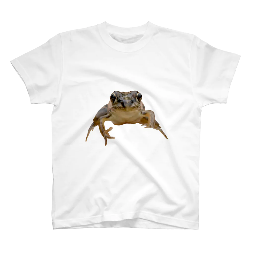 石田 汲の2D-Frog ver.03 Regular Fit T-Shirt